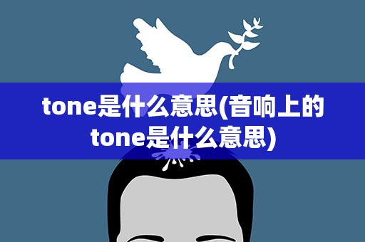 tone是什么意思(音响上的tone是什么意思)