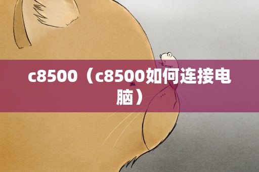c8500（c8500如何连接电脑）