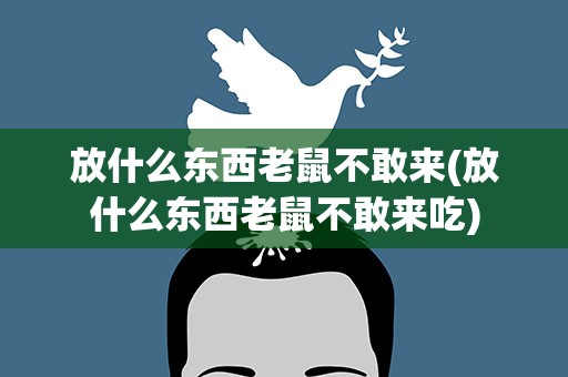 放什么东西老鼠不敢来(放什么东西老鼠不敢来吃)