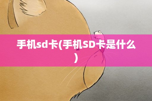 手机sd卡(手机SD卡是什么)