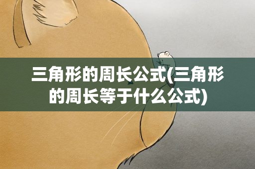 三角形的周长公式(三角形的周长等于什么公式)