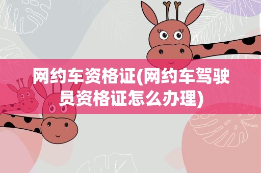 网约车资格证(网约车驾驶员资格证怎么办理)