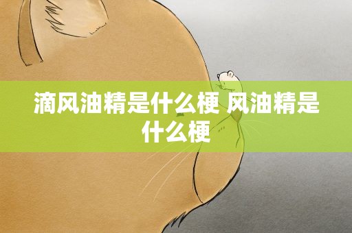 滴风油精是什么梗 风油精是什么梗