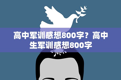 高中军训感想800字？高中生军训感想800字