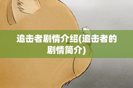 追击者剧情介绍(追击者的剧情简介)