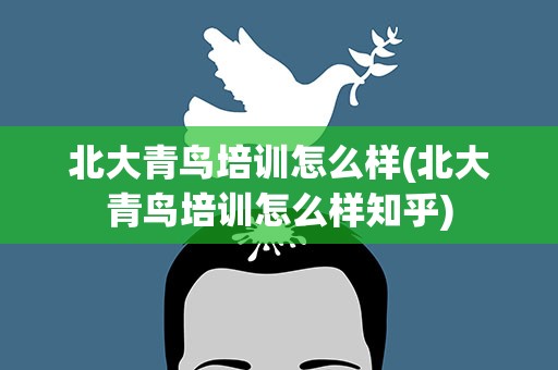北大青鸟培训怎么样(北大青鸟培训怎么样知乎)