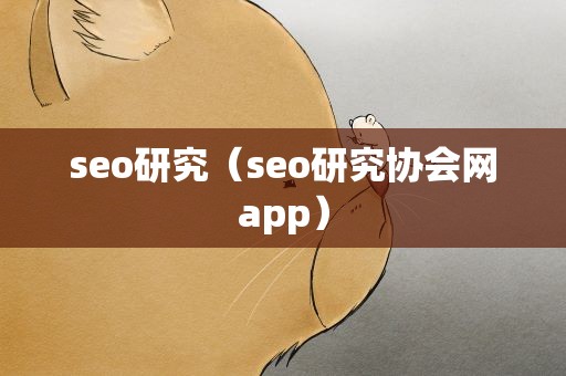 seo研究（seo研究协会网app）