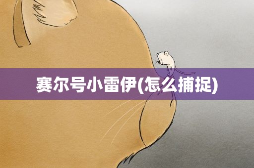 赛尔号小雷伊(怎么捕捉)