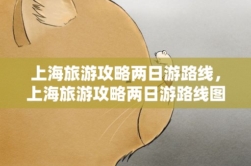 上海旅游攻略两日游路线，上海旅游攻略两日游路线图