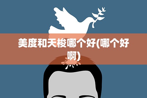 美度和天梭哪个好(哪个好啊)