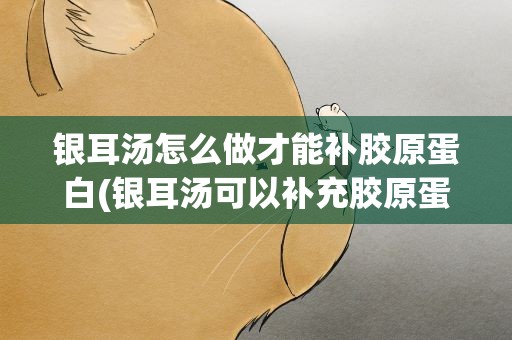 银耳汤怎么做才能补胶原蛋白(银耳汤可以补充胶原蛋白吗)