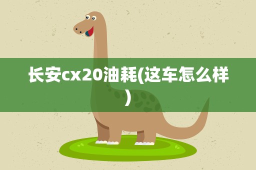 长安cx20油耗(这车怎么样)