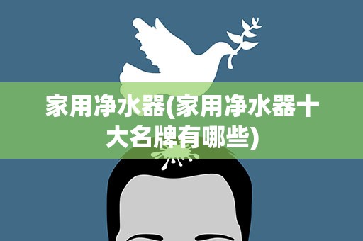 家用净水器(家用净水器十大名牌有哪些)