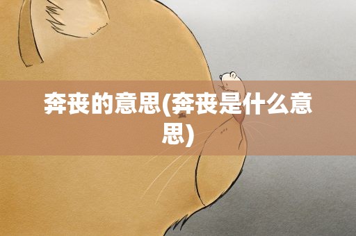 奔丧的意思(奔丧是什么意思)