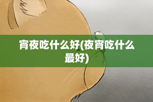 宵夜吃什么好(夜宵吃什么最好)