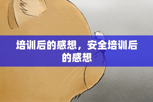 培训后的感想，安全培训后的感想