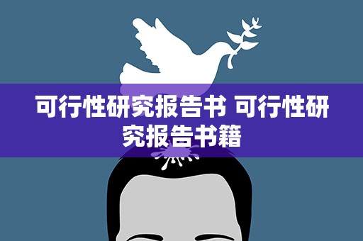 可行性研究报告书 可行性研究报告书籍
