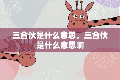 三合伙是什么意思，三合伙是什么意思啊