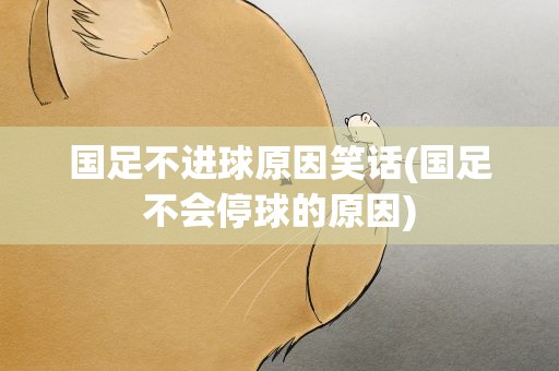 国足不进球原因笑话(国足不会停球的原因)