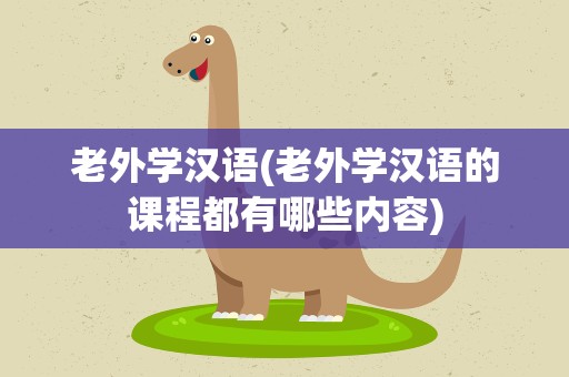 老外学汉语(老外学汉语的课程都有哪些内容)