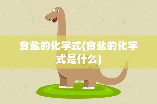 食盐的化学式(食盐的化学式是什么)
