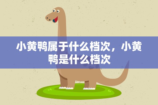 小黄鸭属于什么档次，小黄鸭是什么档次