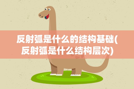 反射弧是什么的结构基础(反射弧是什么结构层次)