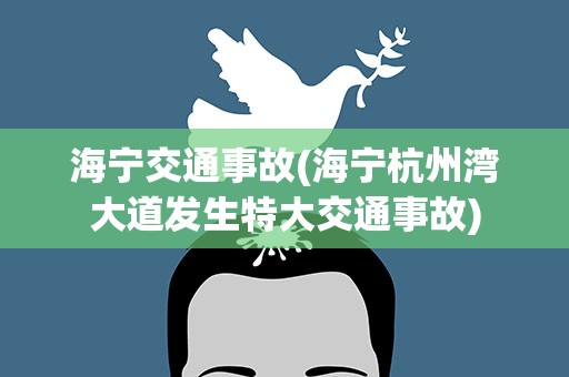 海宁交通事故(海宁杭州湾大道发生特大交通事故)