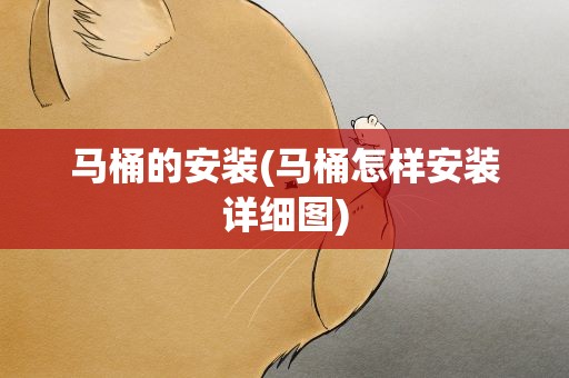 马桶的安装(马桶怎样安装详细图)