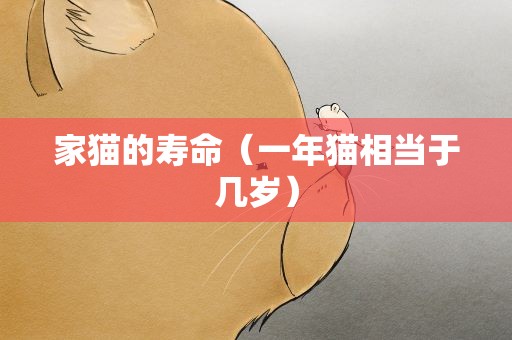 家猫的寿命（一年猫相当于几岁）
