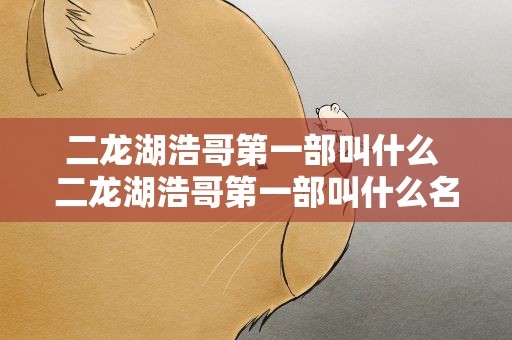 二龙湖浩哥第一部叫什么 二龙湖浩哥第一部叫什么名字