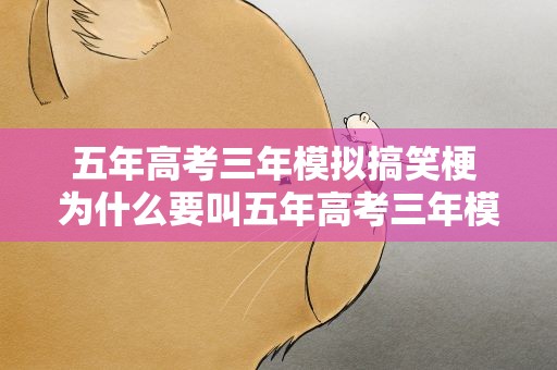五年高考三年模拟搞笑梗 为什么要叫五年高考三年模拟