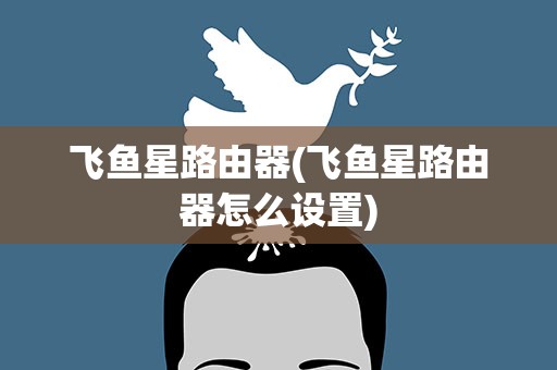 飞鱼星路由器(飞鱼星路由器怎么设置)