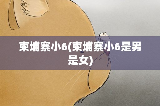 柬埔寨小6(柬埔寨小6是男是女)