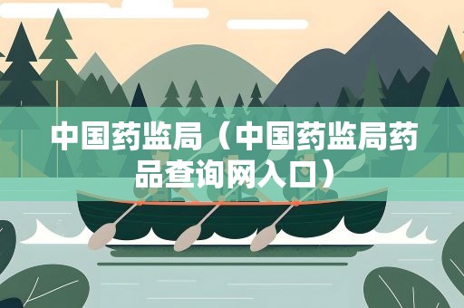中国药监局（中国药监局药品查询网入口）