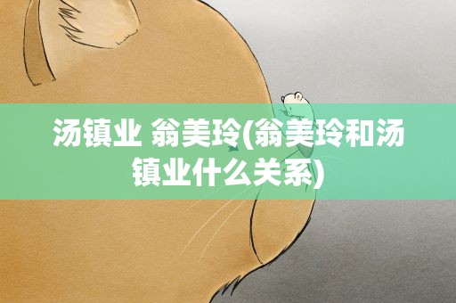 汤镇业 翁美玲(翁美玲和汤镇业什么关系)