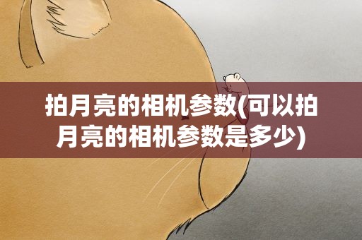 拍月亮的相机参数(可以拍月亮的相机参数是多少)
