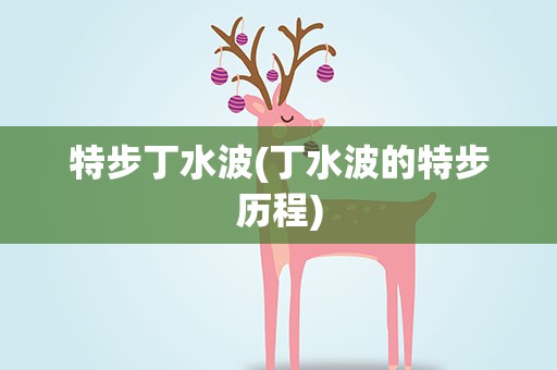 特步丁水波(丁水波的特步历程)