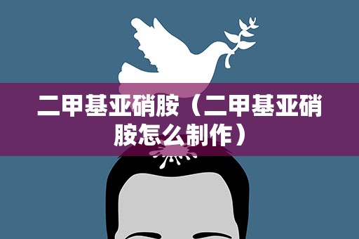 二甲基亚硝胺（二甲基亚硝胺怎么制作）