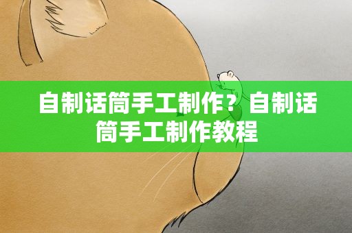 自制话筒手工制作？自制话筒手工制作教程