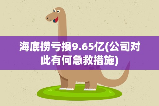 海底捞亏损9.65亿(公司对此有何急救措施)