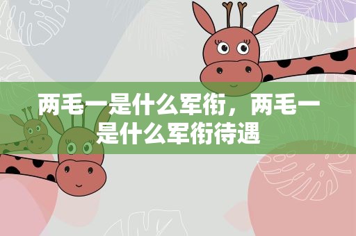 两毛一是什么军衔，两毛一是什么军衔待遇