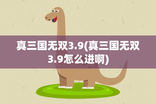 真三国无双3.9(真三国无双3.9怎么进啊)