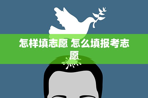 怎样填志愿 怎么填报考志愿