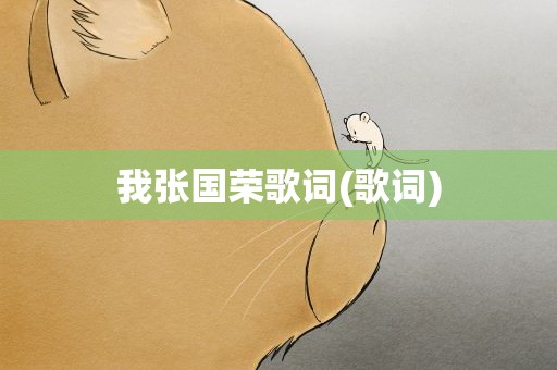 我张国荣歌词(歌词)