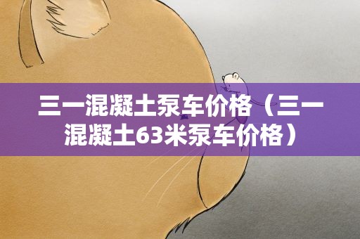 三一混凝土泵车价格（三一混凝土63米泵车价格）