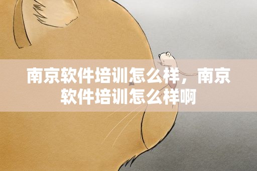 南京软件培训怎么样，南京软件培训怎么样啊