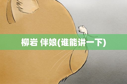 柳岩 伴娘(谁能讲一下)