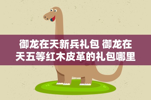 御龙在天新兵礼包 御龙在天五等红木皮革的礼包哪里获得