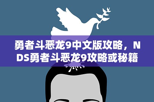 勇者斗恶龙9中文版攻略，NDS勇者斗恶龙9攻略或秘籍